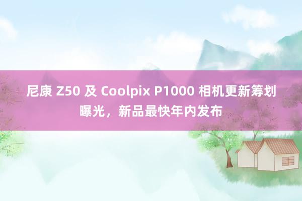 尼康 Z50 及 Coolpix P1000 相机更新筹划曝光，新品最快年内发布